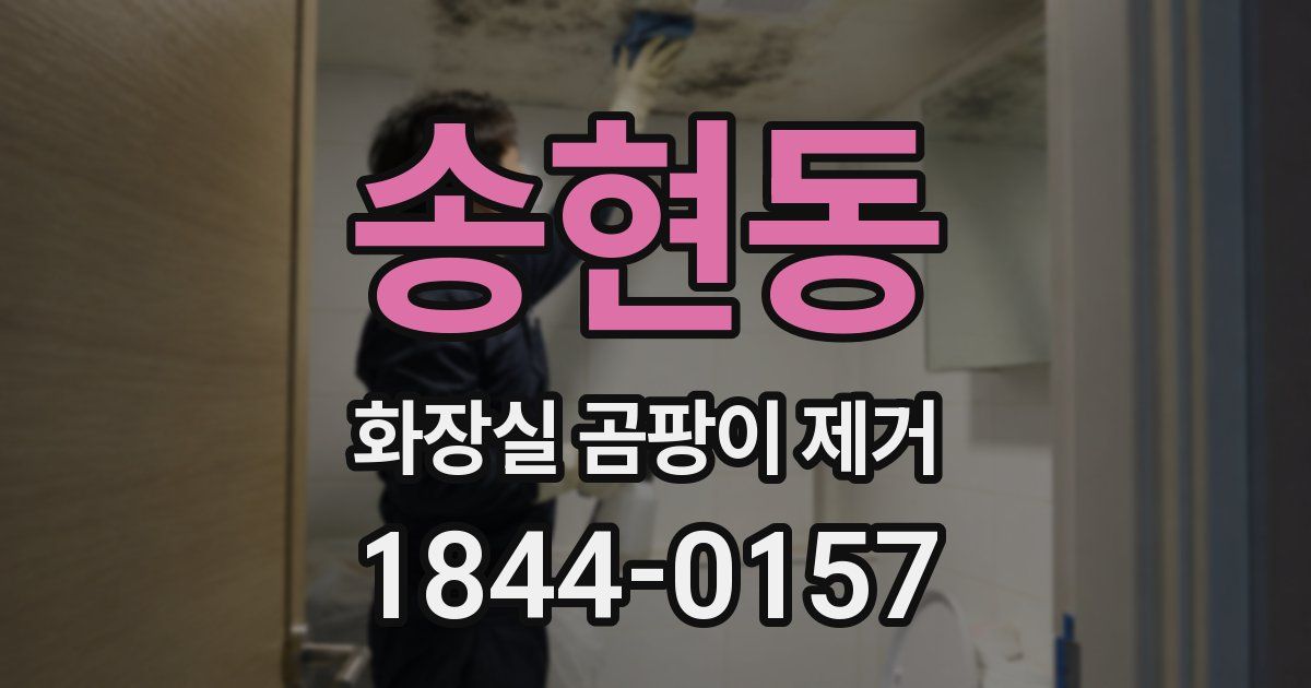 송현동 화장실 곰팡이 제거