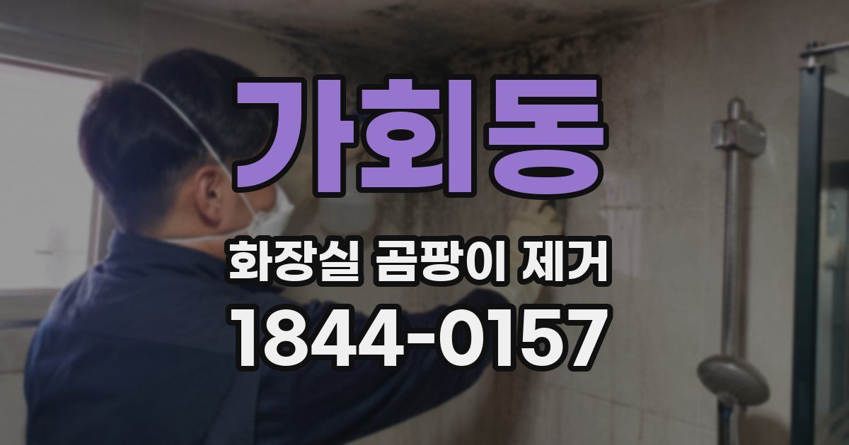 가회동 화장실 곰팡이 제거