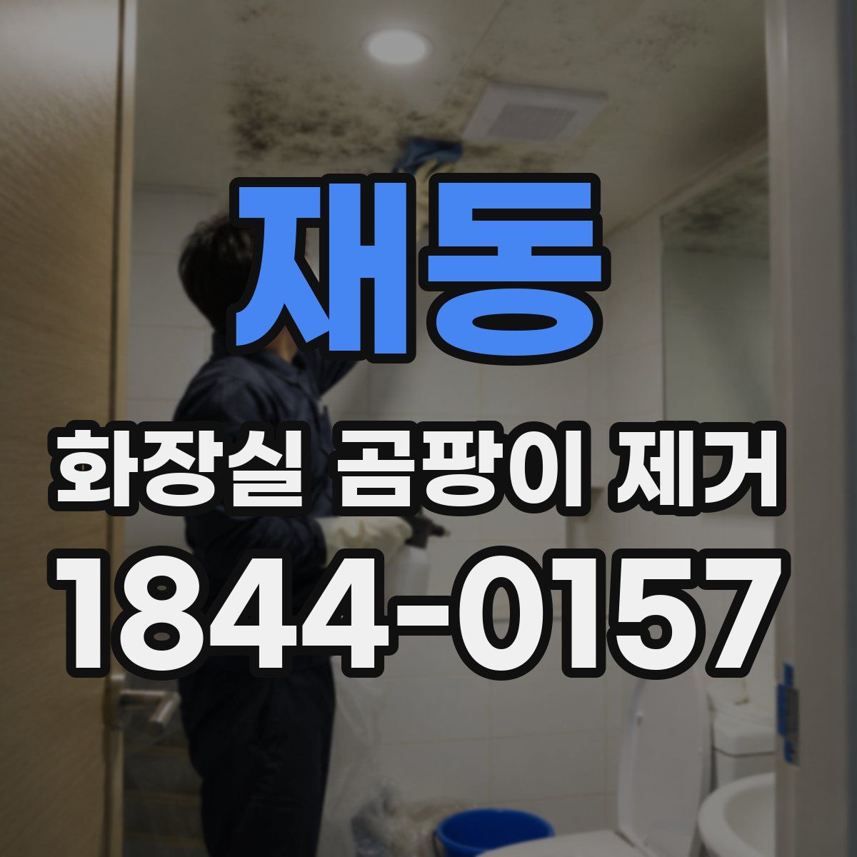 재동 화장실 곰팡이 제거