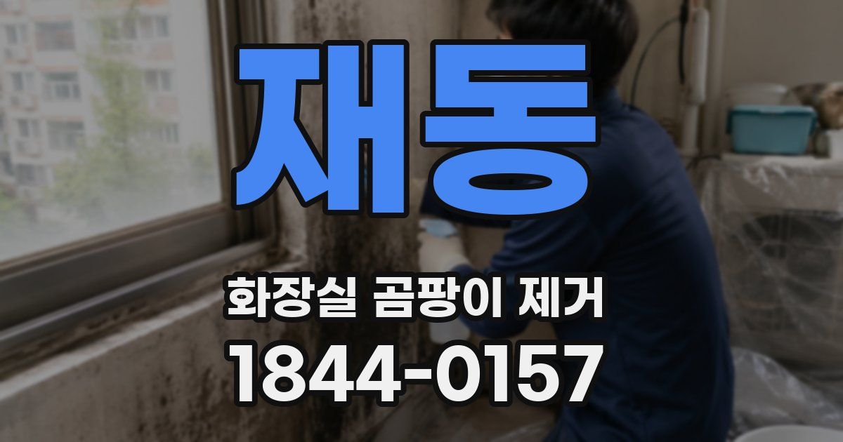 재동 화장실 곰팡이 제거