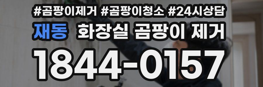 재동 화장실 곰팡이 제거