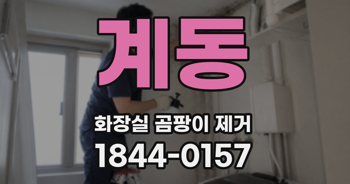 계동 화장실 곰팡이 제거