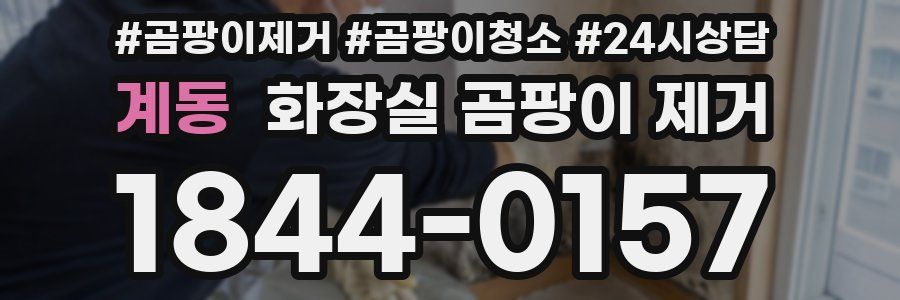 계동 화장실 곰팡이 제거