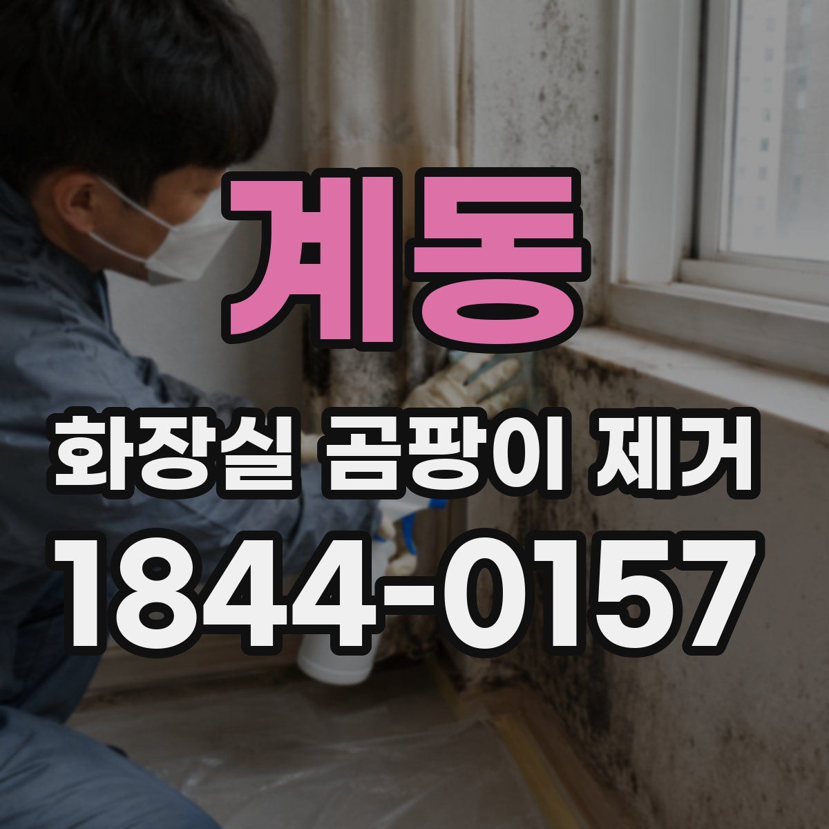 계동 화장실 곰팡이 제거