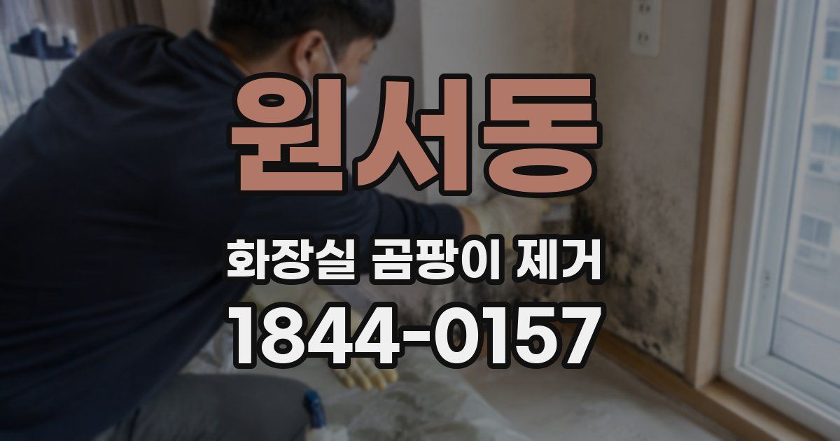 원서동 화장실 곰팡이 제거