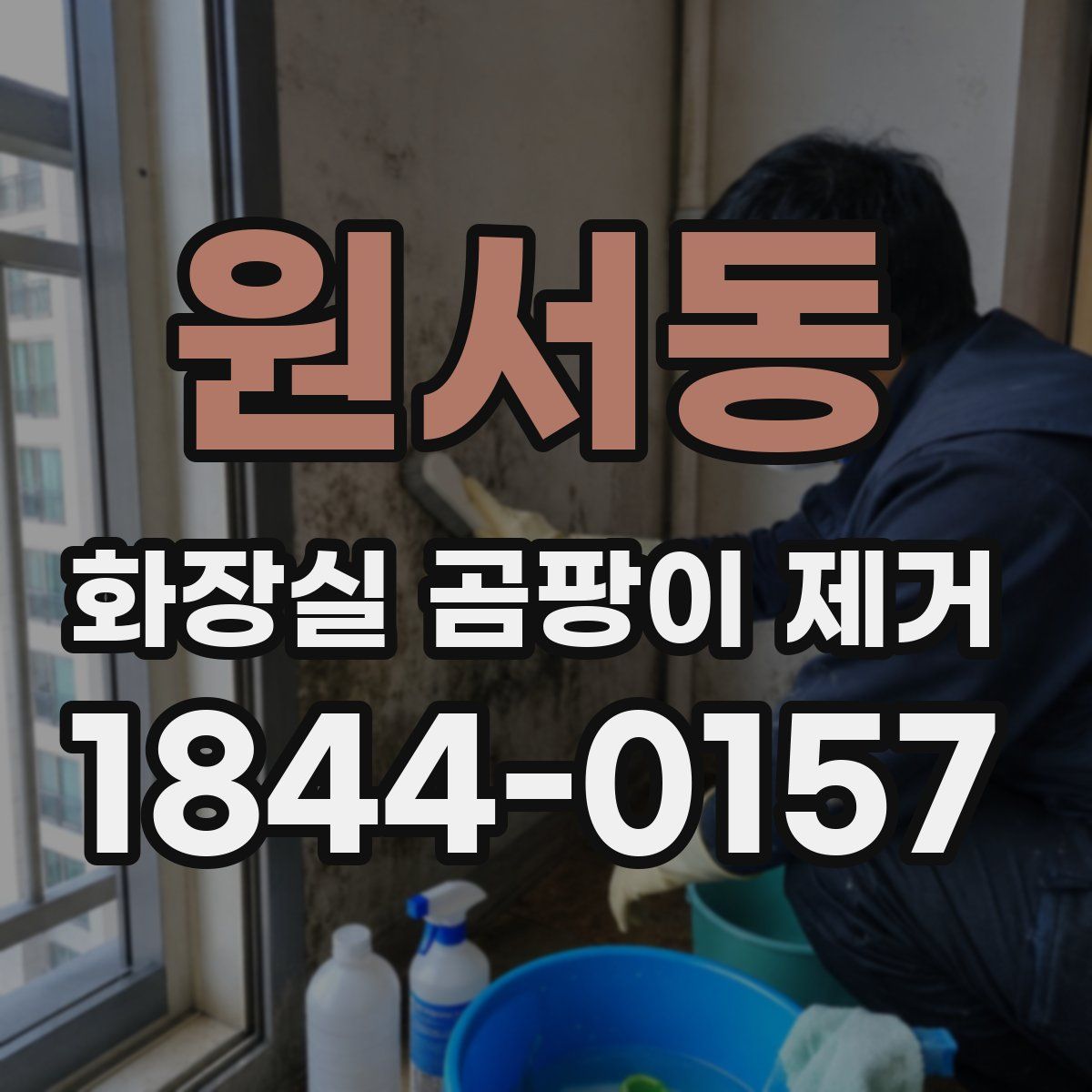 원서동 화장실 곰팡이 제거
