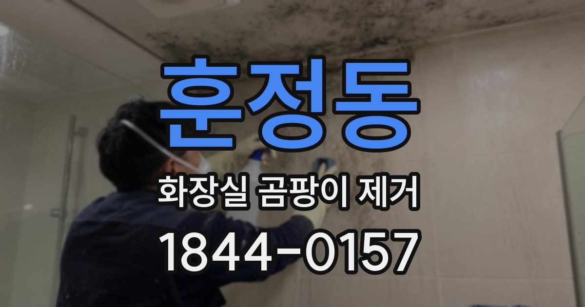 훈정동 화장실 곰팡이 제거