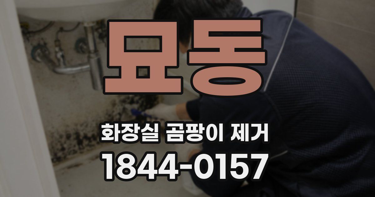 묘동 화장실 곰팡이 제거