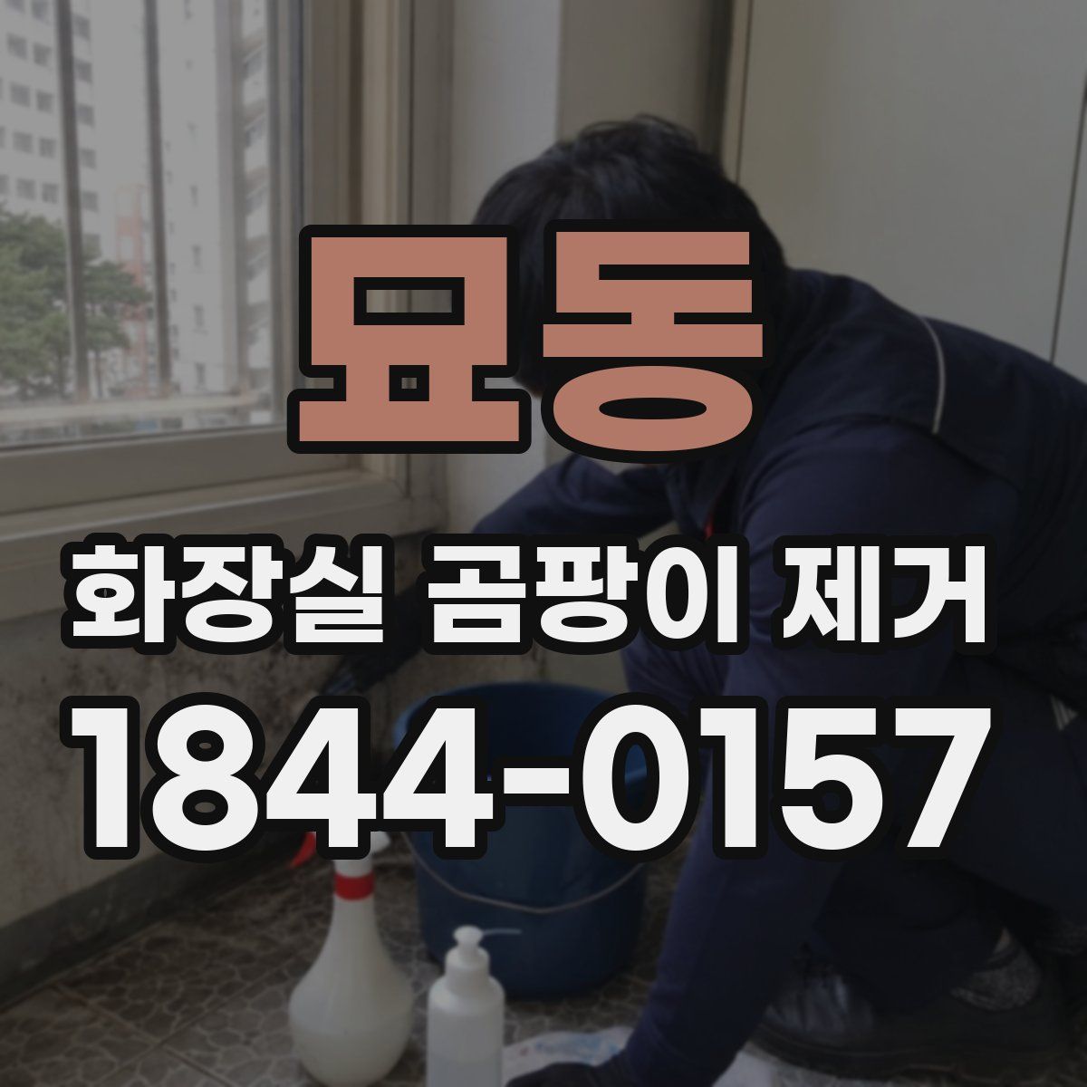 묘동 화장실 곰팡이 제거