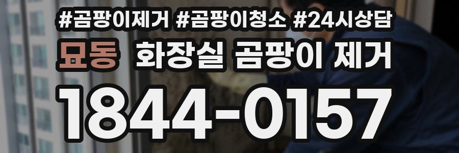 묘동 화장실 곰팡이 제거