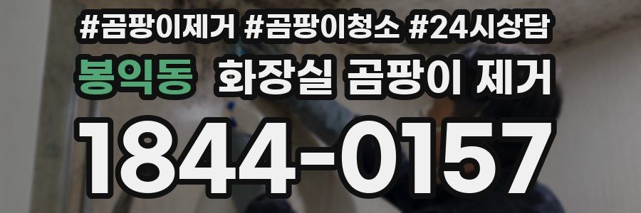 봉익동 화장실 곰팡이 제거
