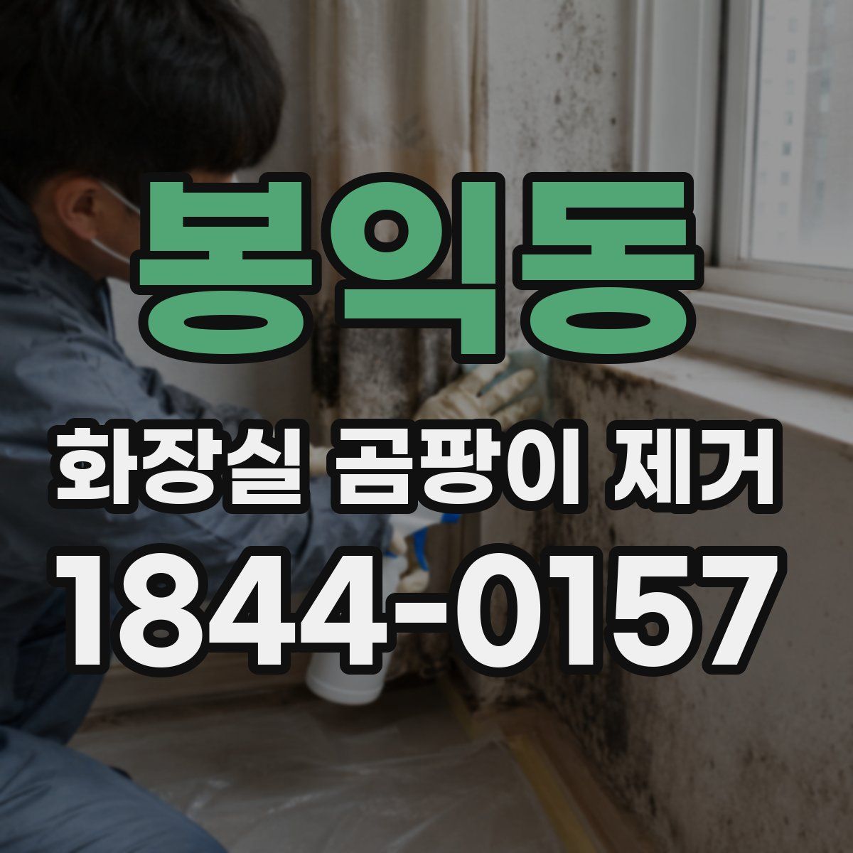 봉익동 화장실 곰팡이 제거