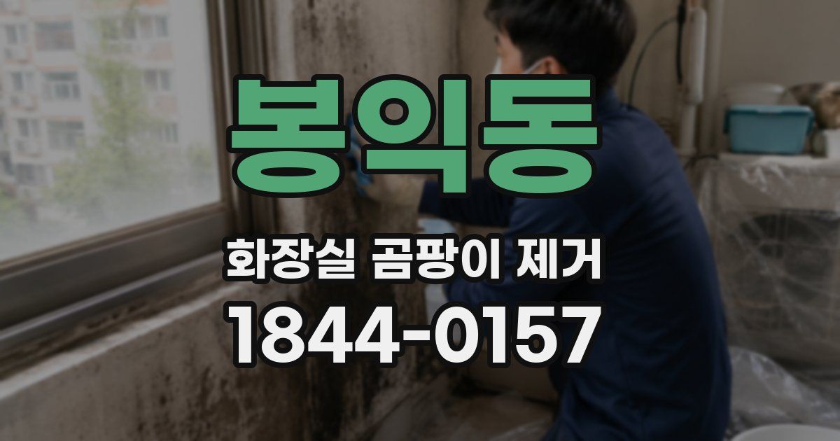 봉익동 화장실 곰팡이 제거