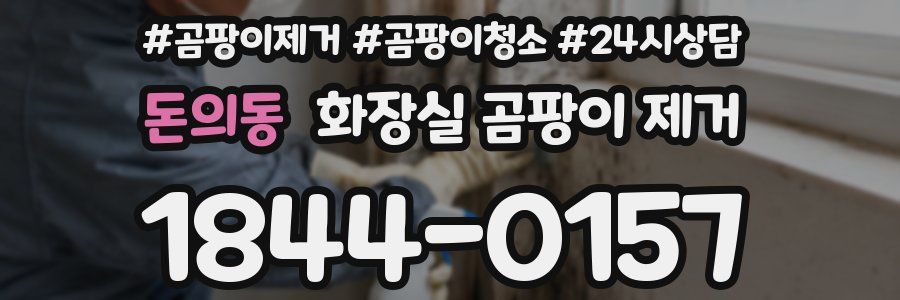 돈의동 화장실 곰팡이 제거
