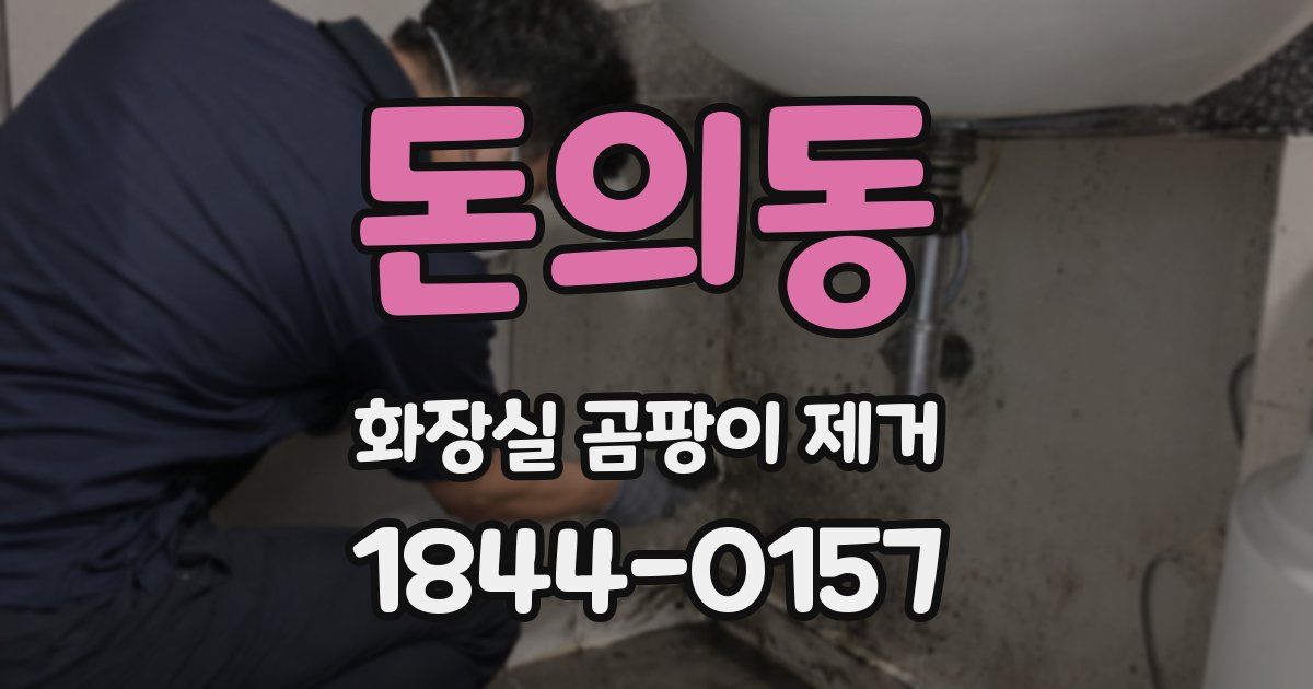 돈의동 화장실 곰팡이 제거