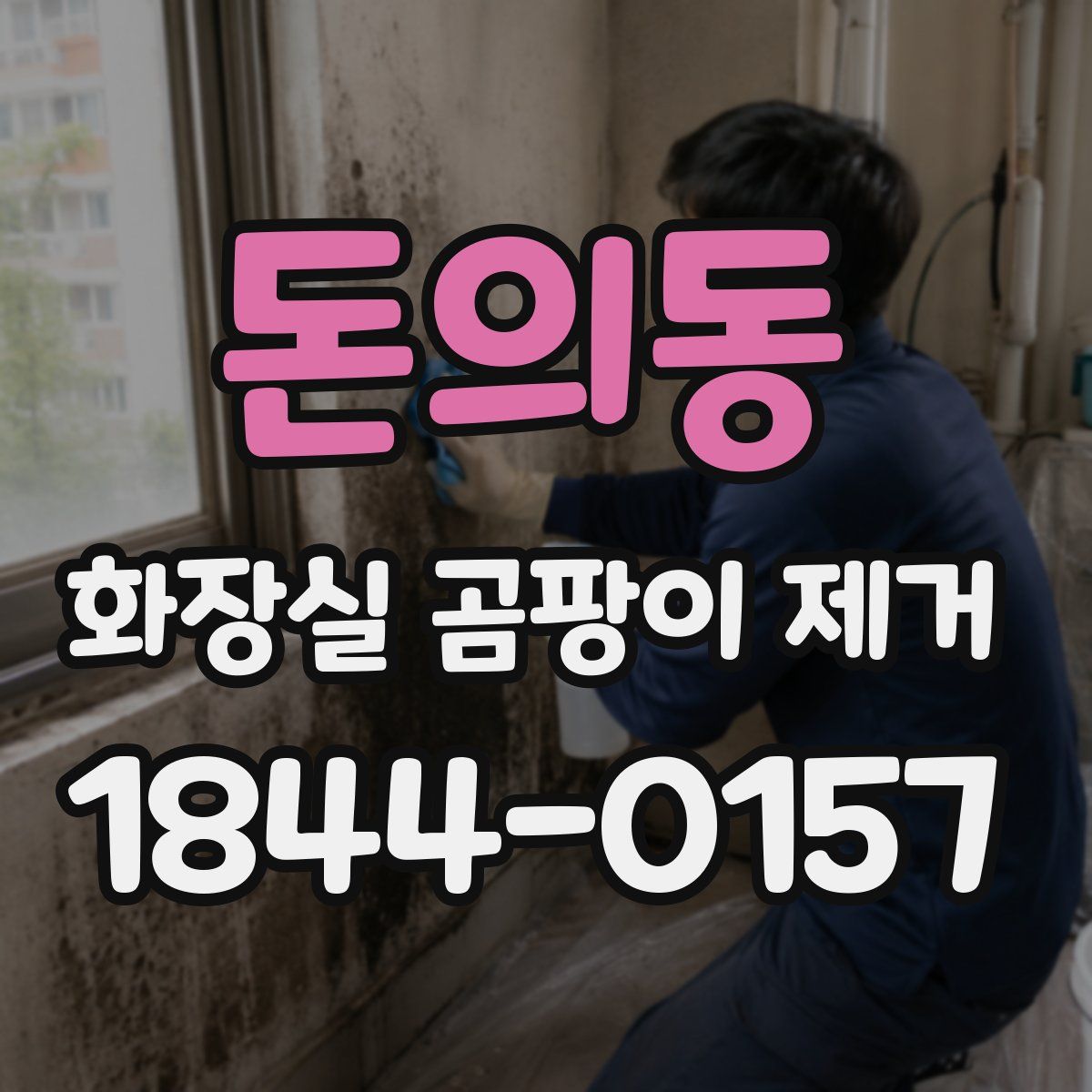 돈의동 화장실 곰팡이 제거