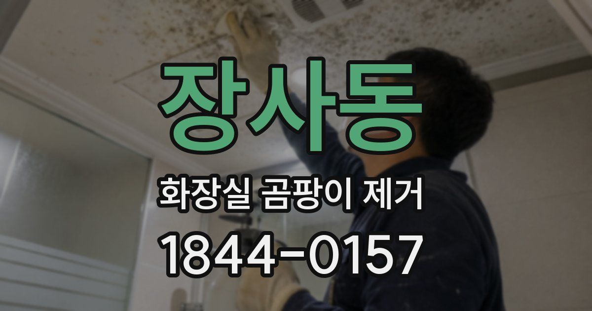 장사동 화장실 곰팡이 제거