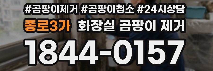 종로3가 화장실 곰팡이 제거