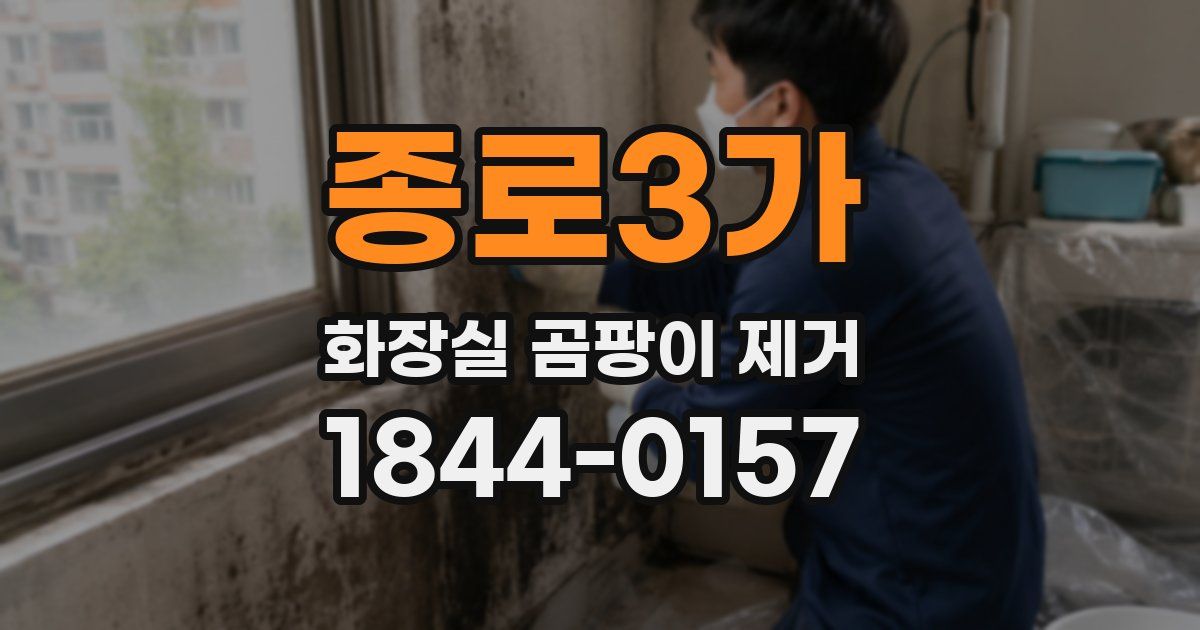 종로3가 화장실 곰팡이 제거