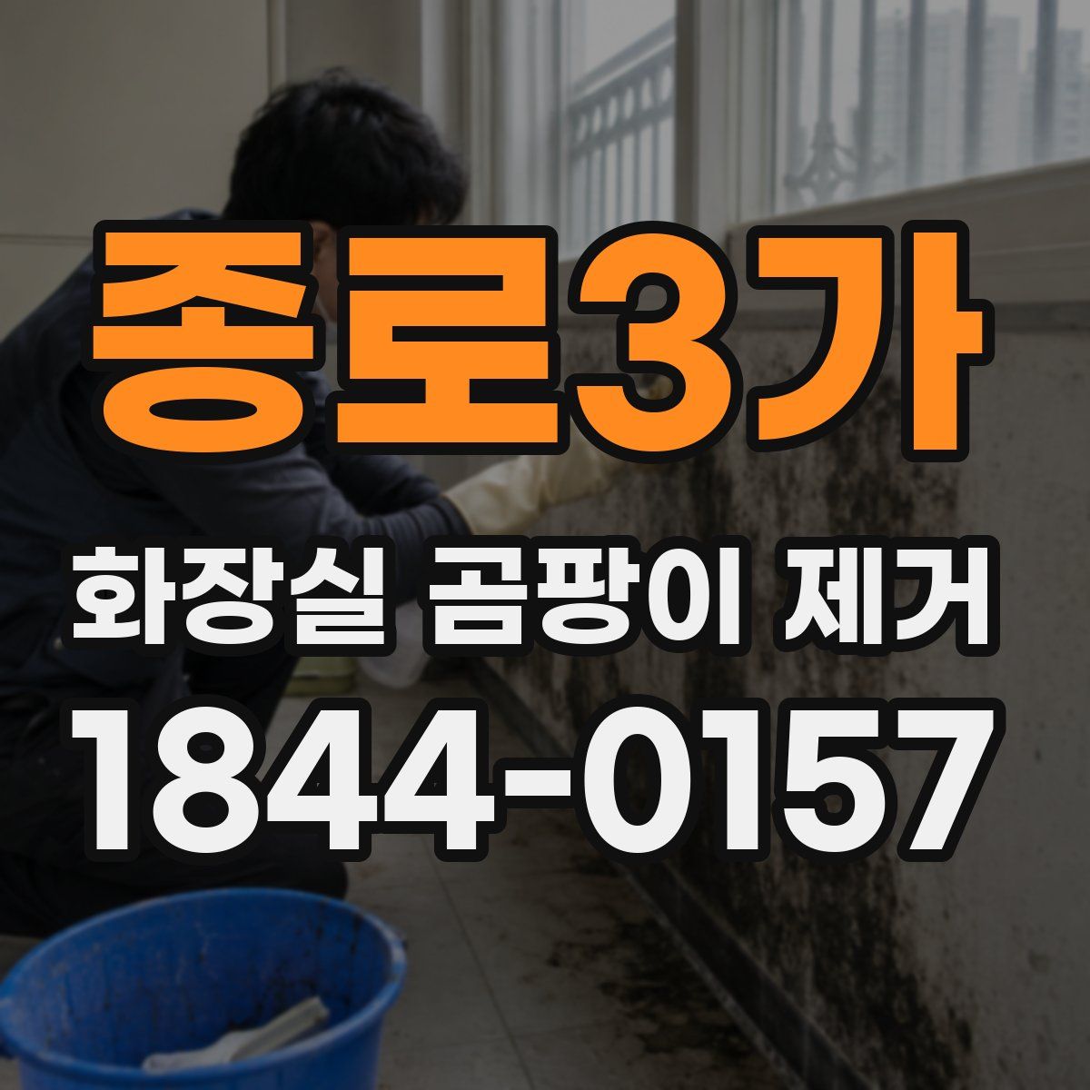 종로3가 화장실 곰팡이 제거