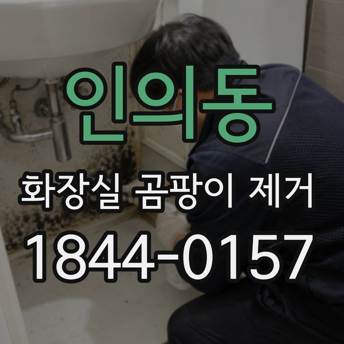 인의동 화장실 곰팡이 제거