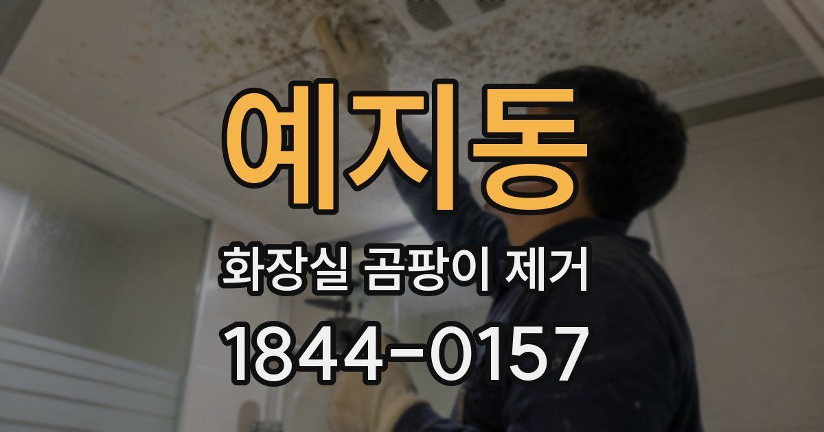 예지동 화장실 곰팡이 제거