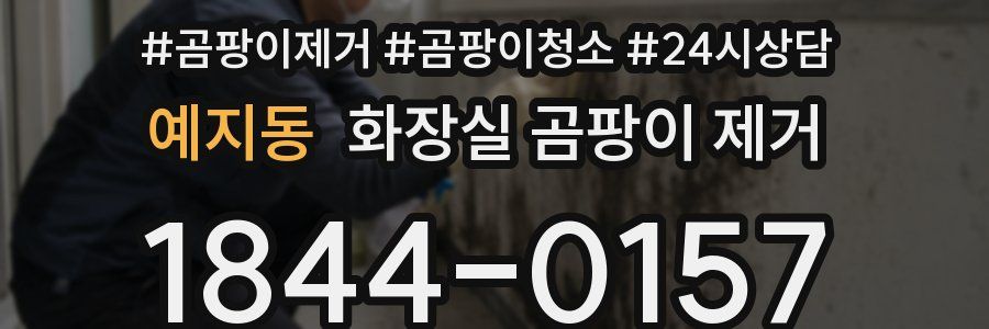 예지동 화장실 곰팡이 제거