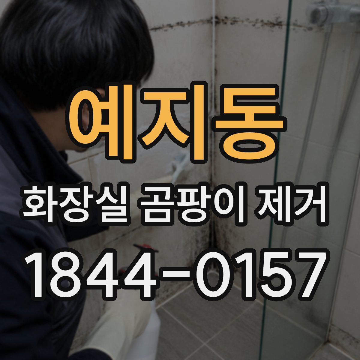 예지동 화장실 곰팡이 제거
