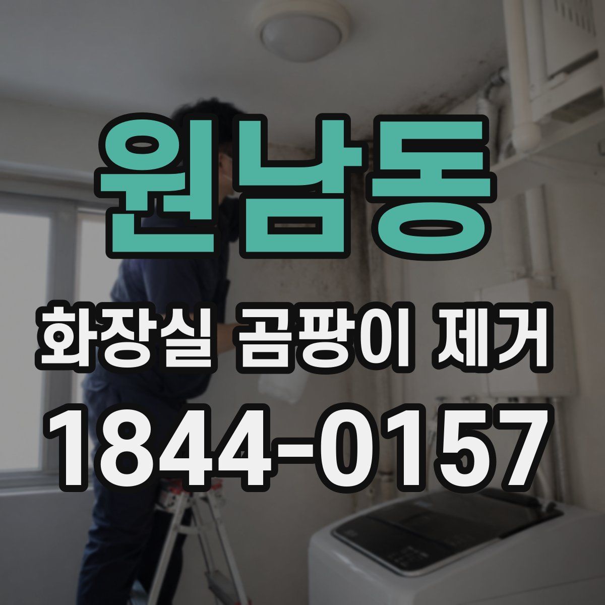 원남동 화장실 곰팡이 제거