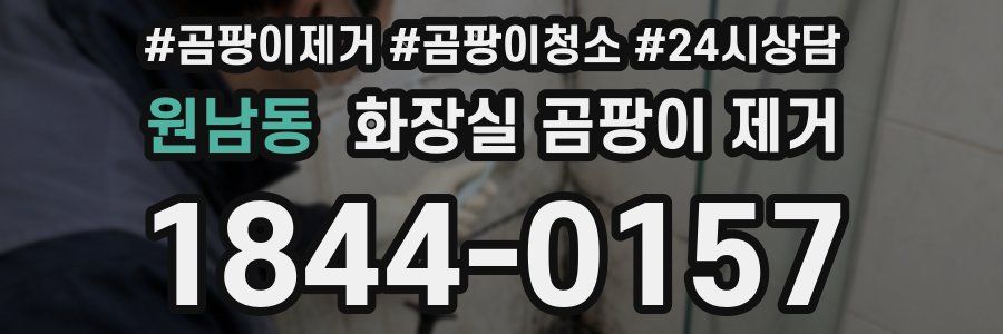원남동 화장실 곰팡이 제거