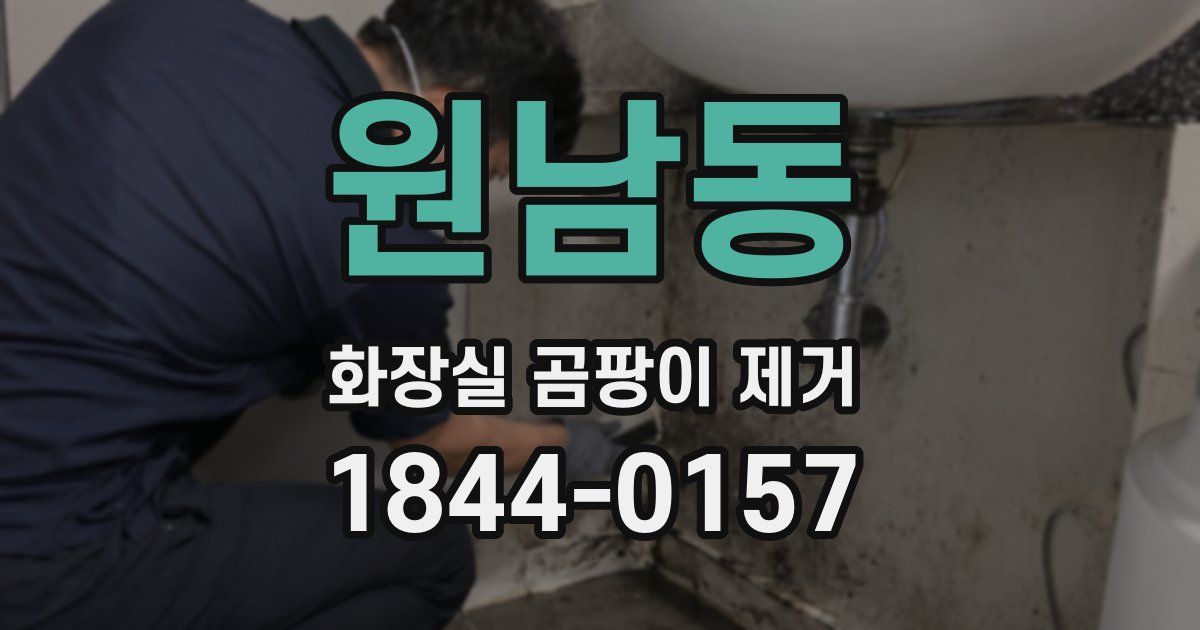 원남동 화장실 곰팡이 제거