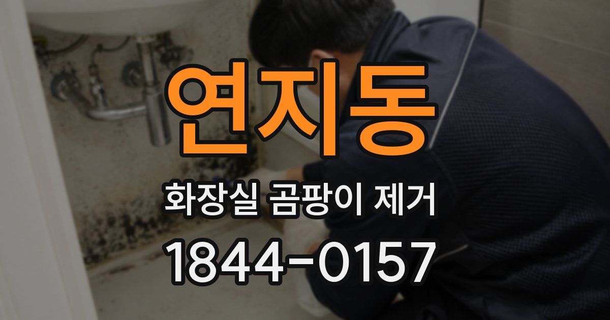 연지동 화장실 곰팡이 제거