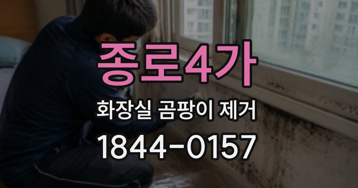 종로4가 화장실 곰팡이 제거