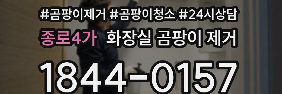 종로4가 화장실 곰팡이 제거