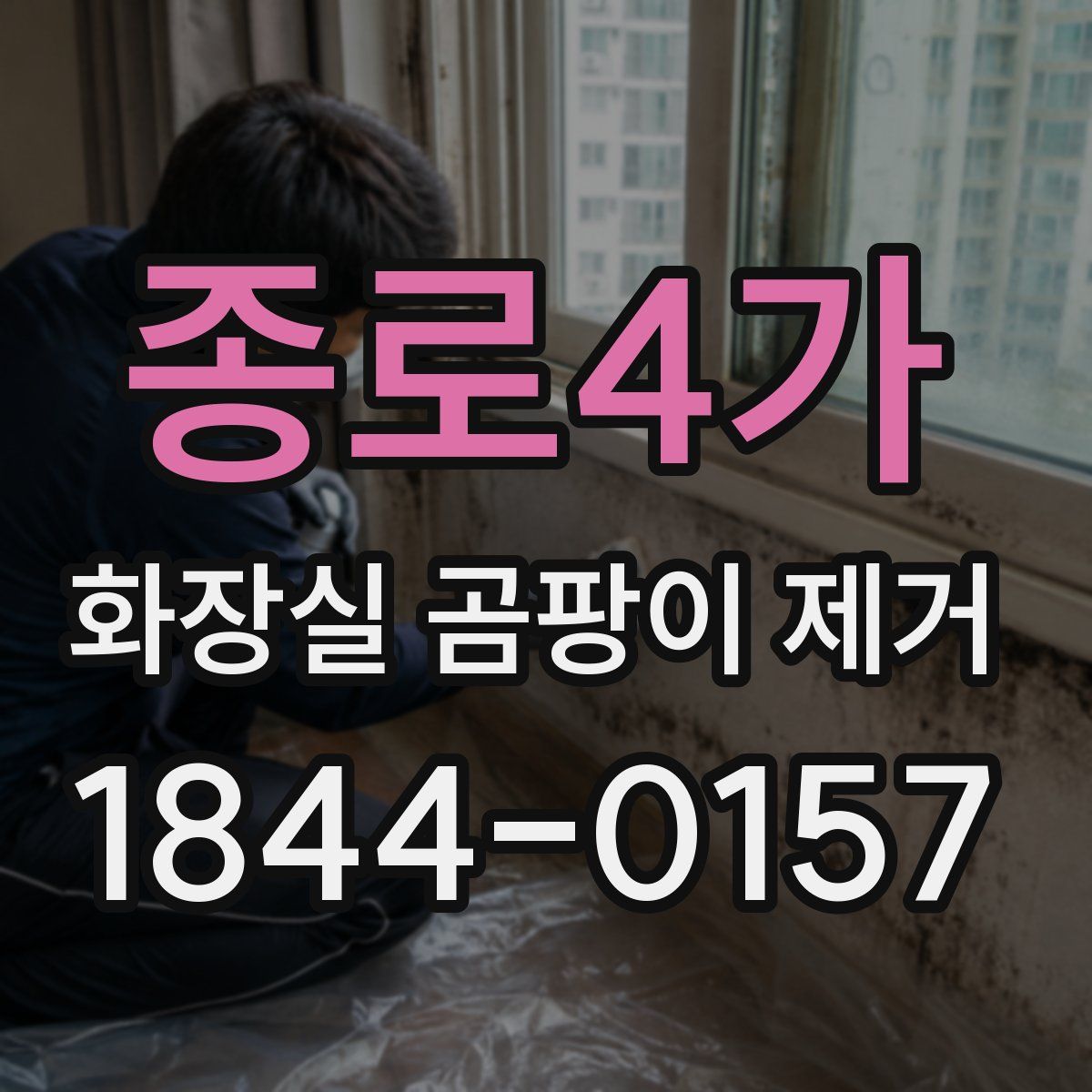 종로4가 화장실 곰팡이 제거