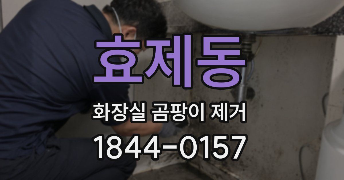 효제동 화장실 곰팡이 제거