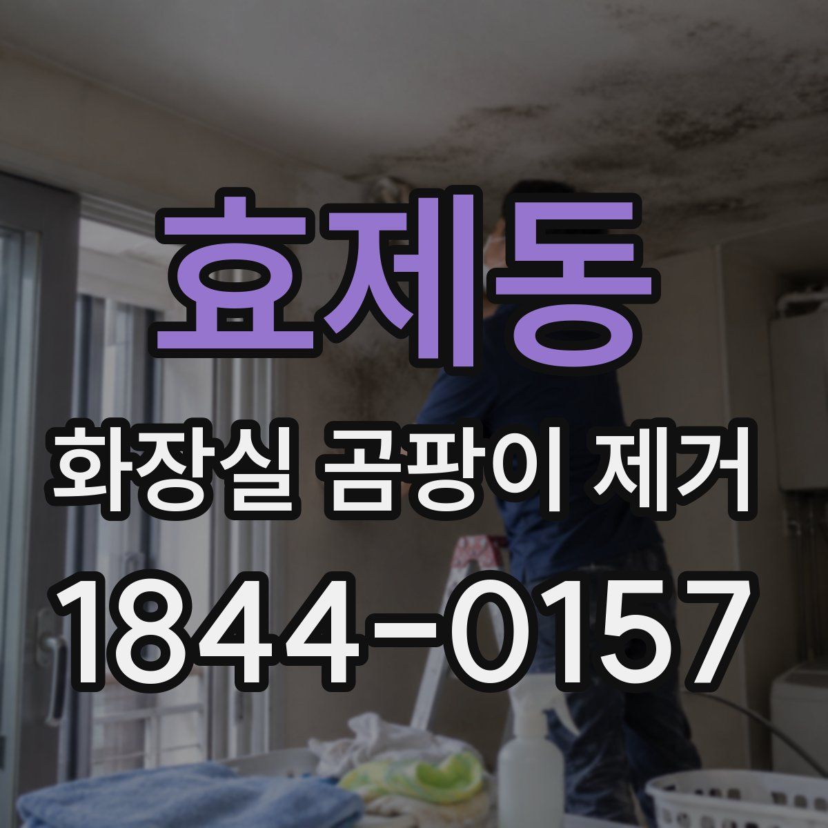 효제동 화장실 곰팡이 제거
