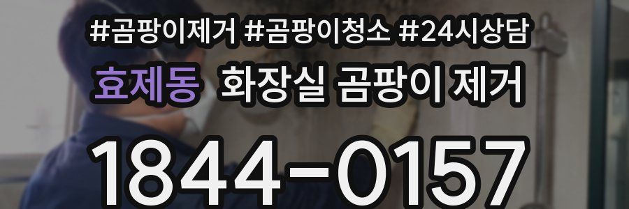 효제동 화장실 곰팡이 제거