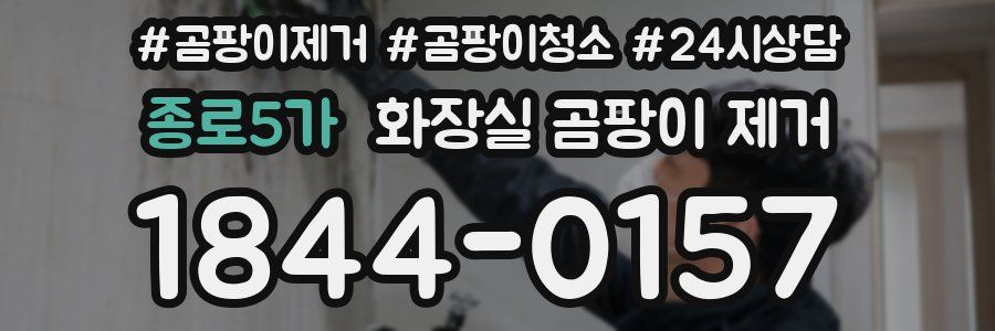 종로5가 화장실 곰팡이 제거