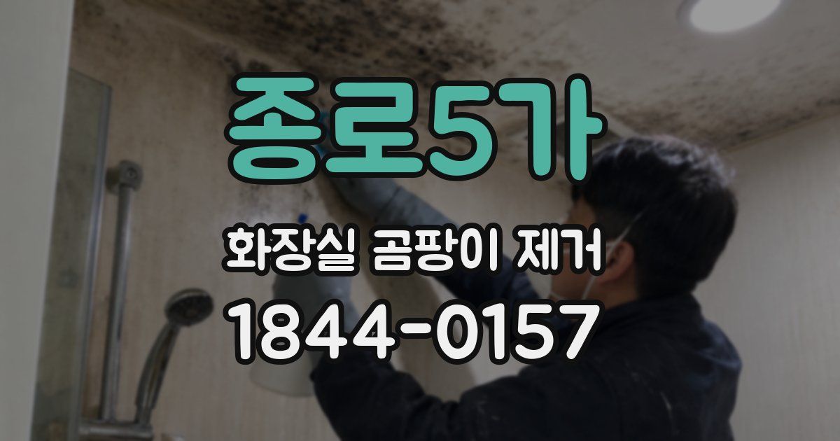 종로5가 화장실 곰팡이 제거