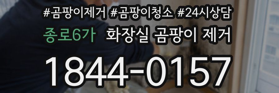 종로6가 화장실 곰팡이 제거