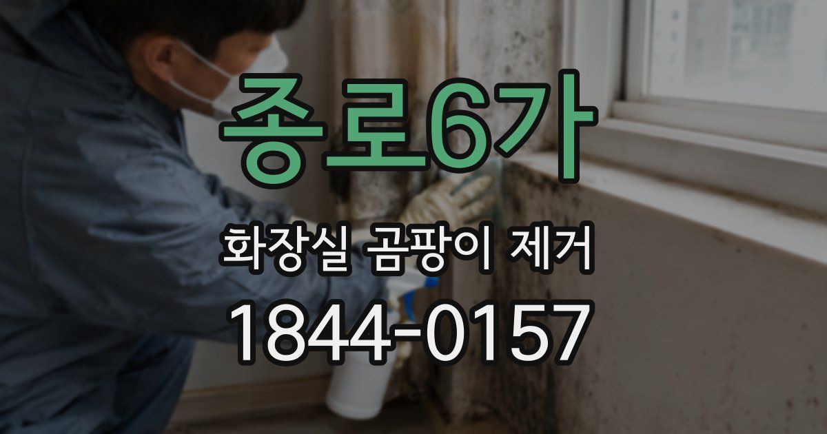 종로6가 화장실 곰팡이 제거