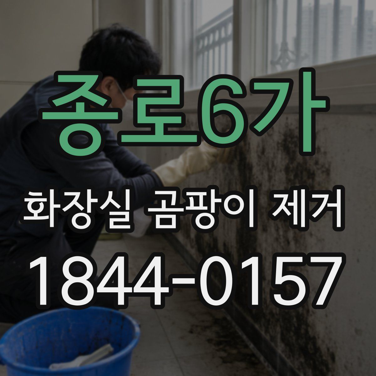 종로6가 화장실 곰팡이 제거