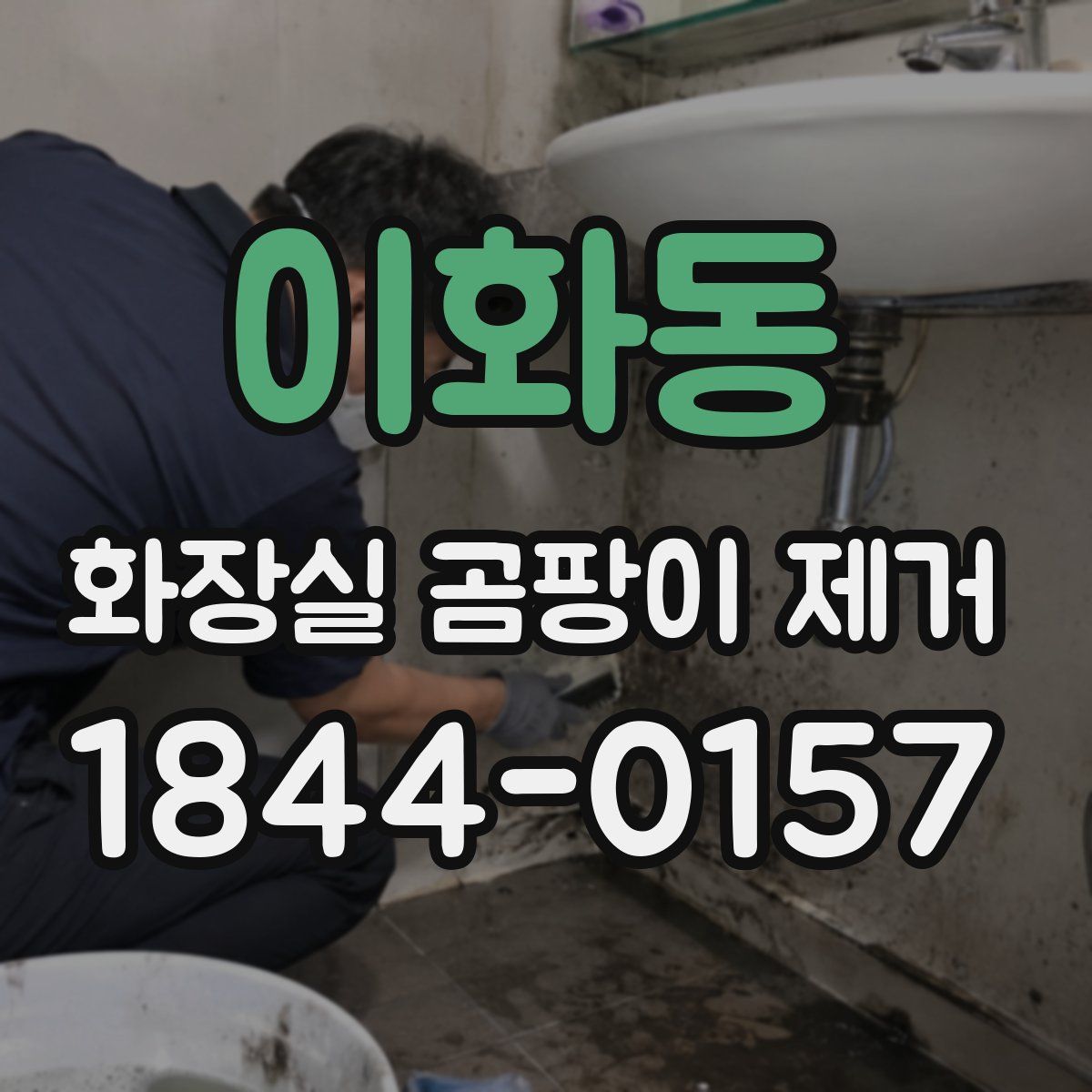이화동 화장실 곰팡이 제거