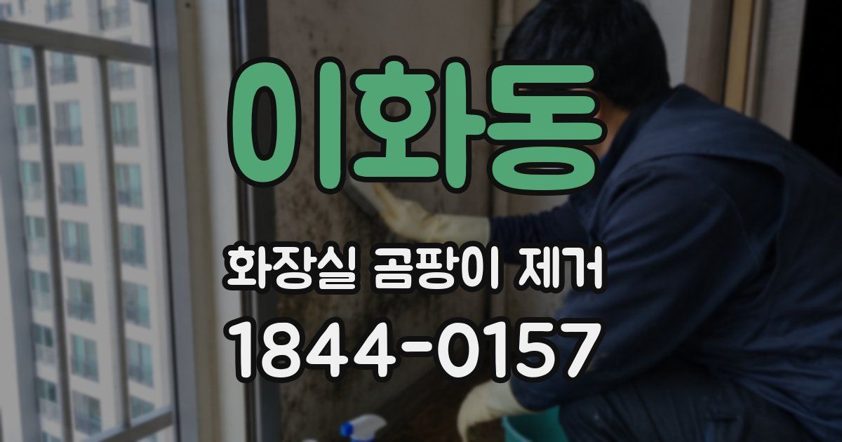 이화동 화장실 곰팡이 제거