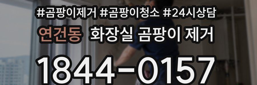 연건동 화장실 곰팡이 제거