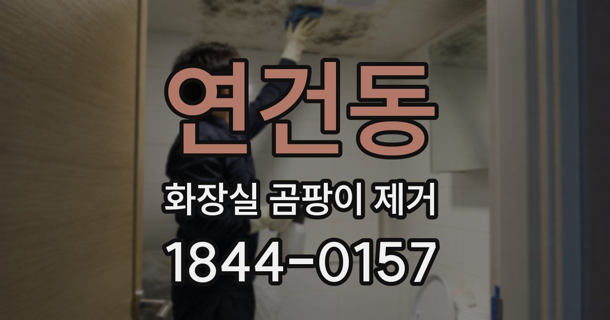 연건동 화장실 곰팡이 제거