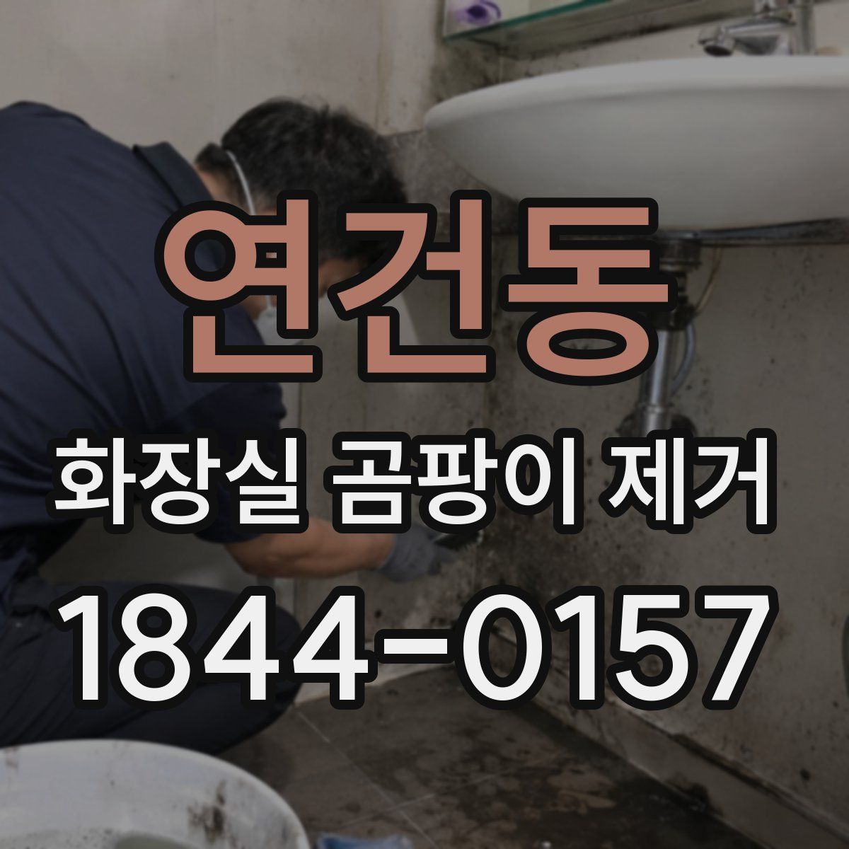연건동 화장실 곰팡이 제거
