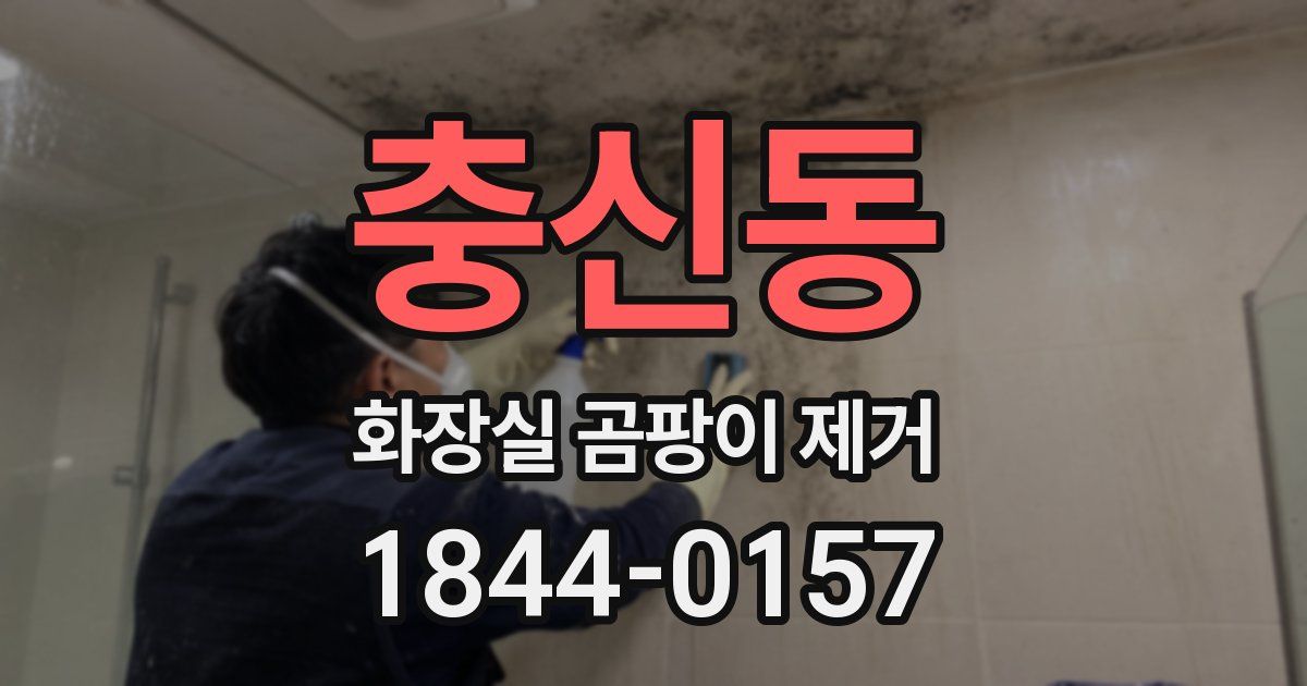 충신동 화장실 곰팡이 제거
