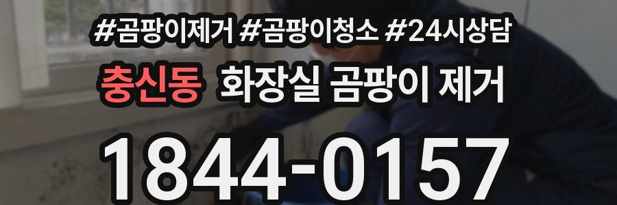 충신동 화장실 곰팡이 제거